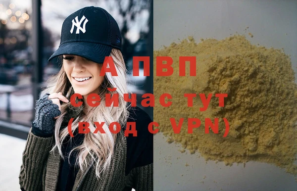 гашик Осташков