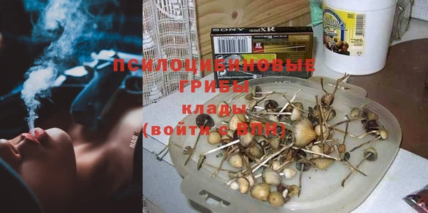 гашиш Абаза
